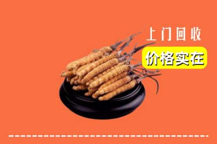 收购资讯:赣州市宁都回收冬虫夏草