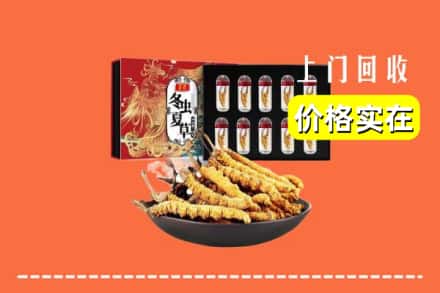 赣州市宁都回收虫草
